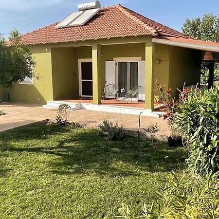 Mnf Country House Agios Georgios  Exterior photo