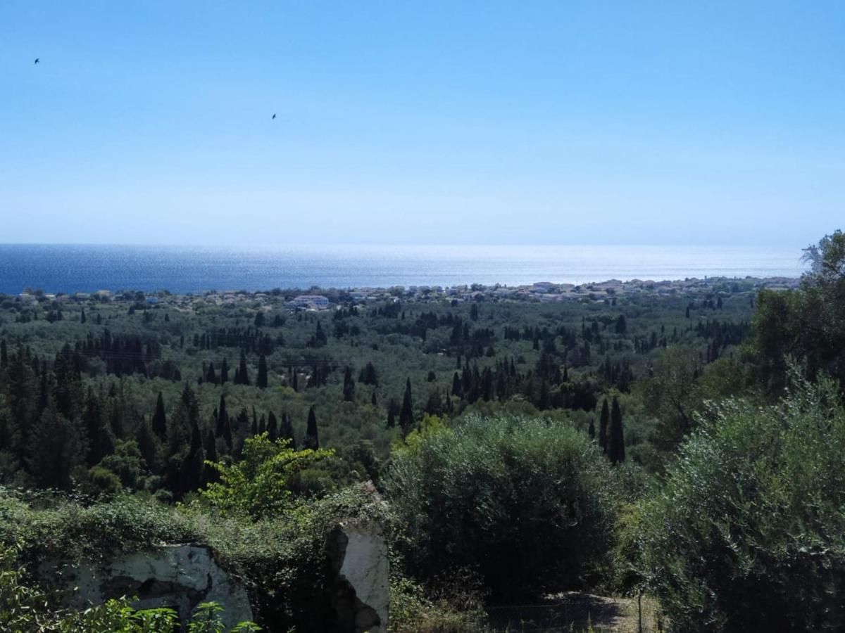 Mnf Country House Agios Georgios  Exterior photo