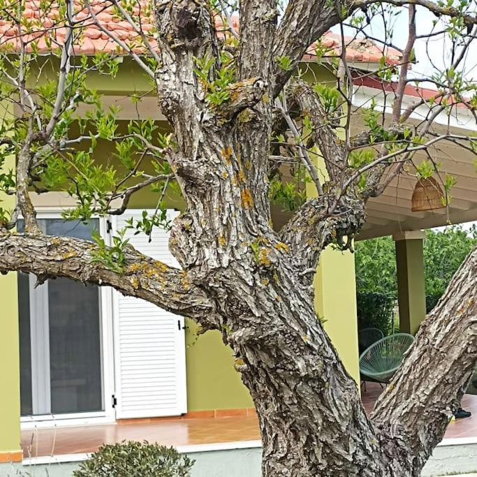 Mnf Country House Agios Georgios  Exterior photo